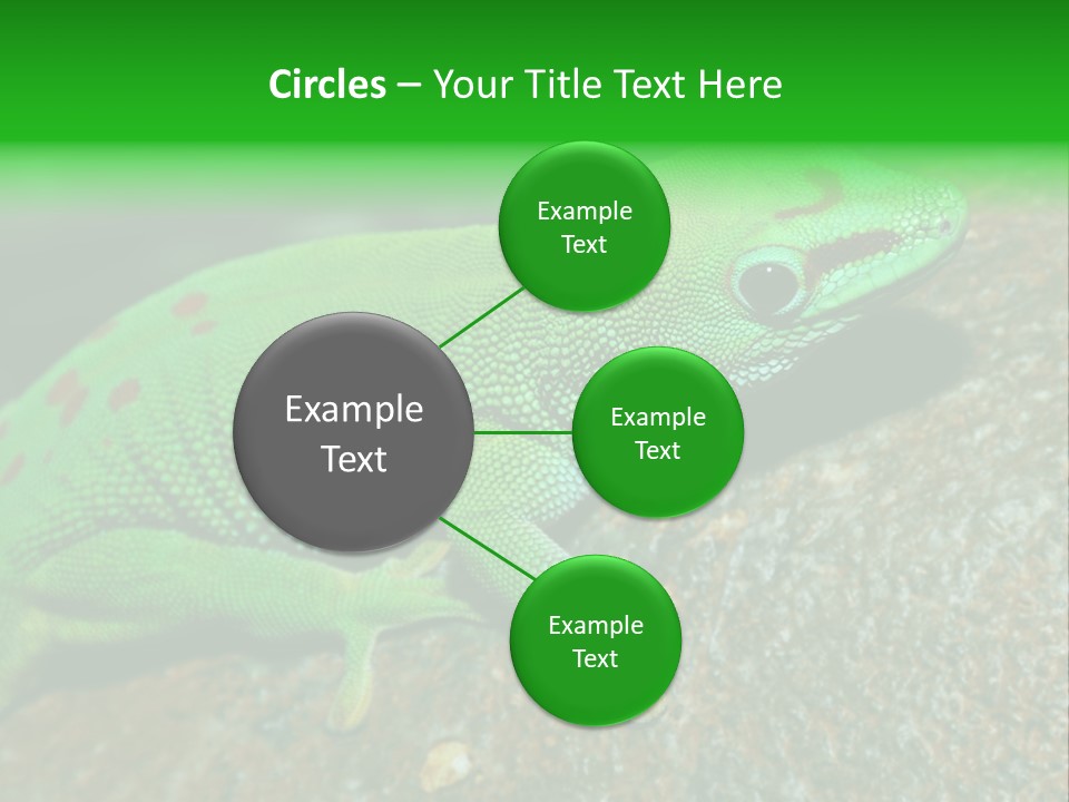 Gecko Chameleon Leaf PowerPoint Template