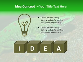 Gecko Chameleon Leaf PowerPoint Template