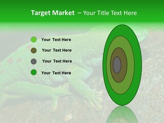 Gecko Chameleon Leaf PowerPoint Template