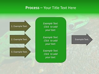 Gecko Chameleon Leaf PowerPoint Template