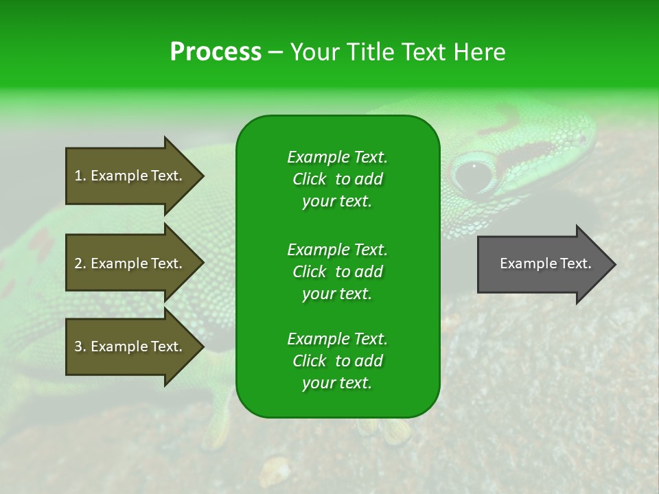 Gecko Chameleon Leaf PowerPoint Template
