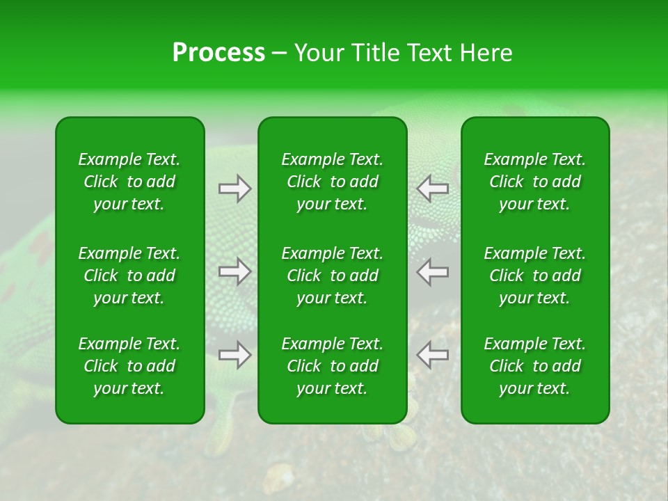 Gecko Chameleon Leaf PowerPoint Template