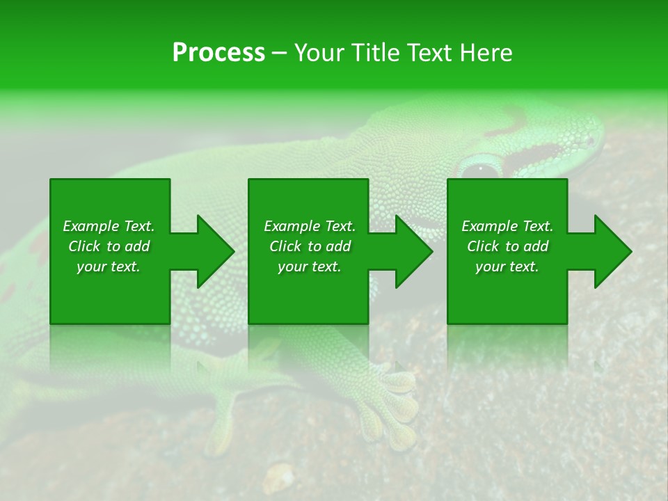 Gecko Chameleon Leaf PowerPoint Template