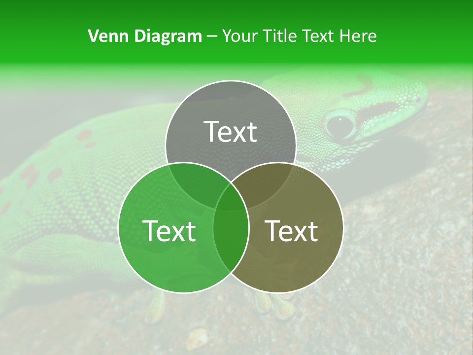 Gecko Chameleon Leaf PowerPoint Template