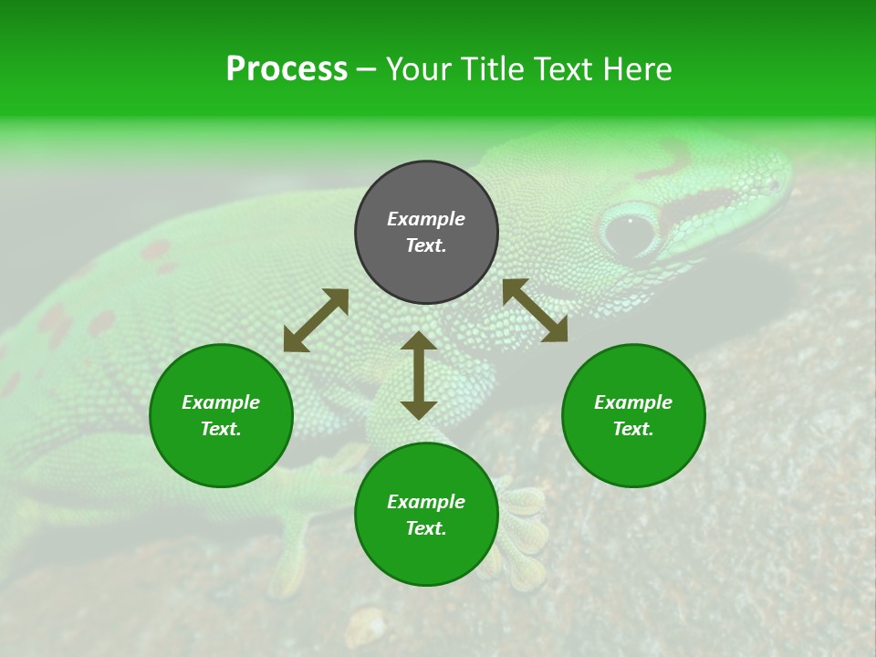 Gecko Chameleon Leaf PowerPoint Template