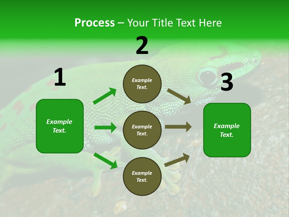 Gecko Chameleon Leaf PowerPoint Template