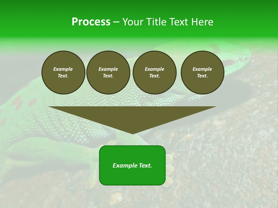 Gecko Chameleon Leaf PowerPoint Template