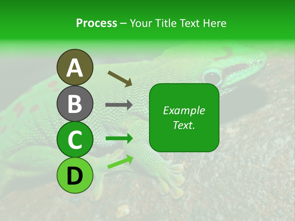 Gecko Chameleon Leaf PowerPoint Template