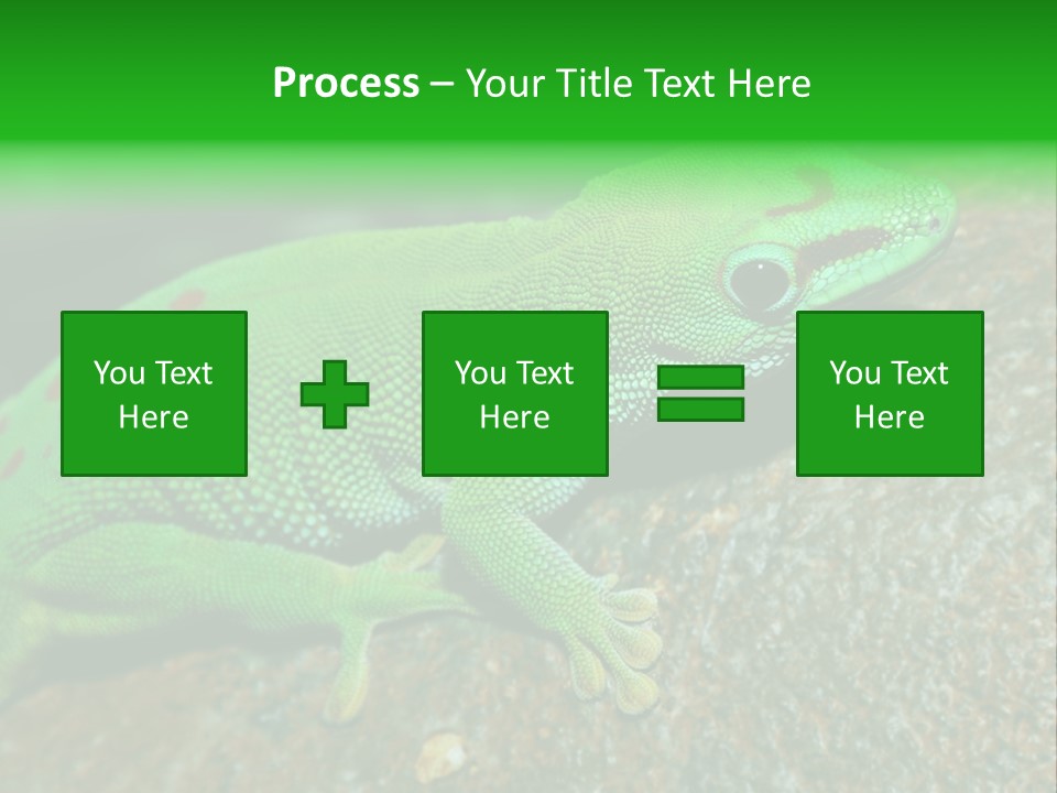 Gecko Chameleon Leaf PowerPoint Template