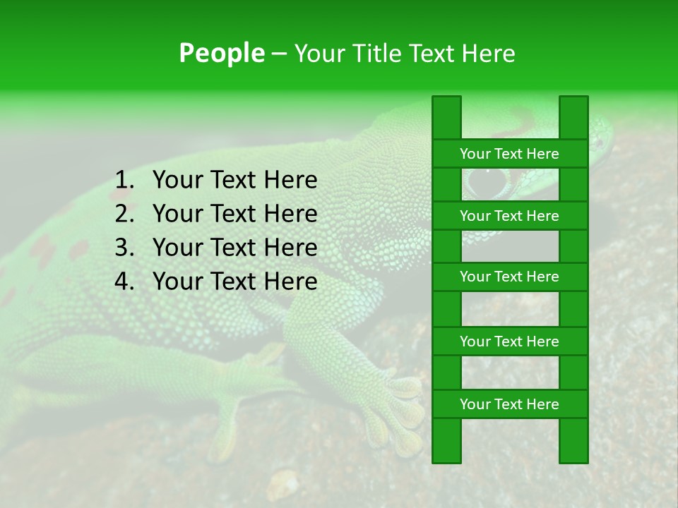 Gecko Chameleon Leaf PowerPoint Template