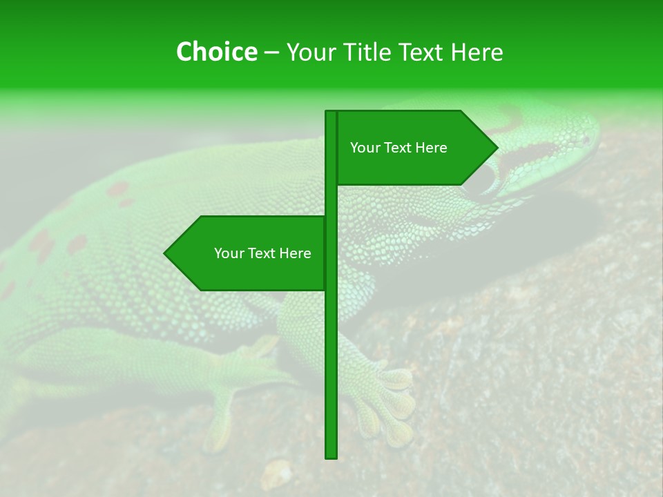 Gecko Chameleon Leaf PowerPoint Template