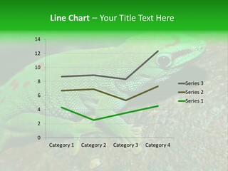 Gecko Chameleon Leaf PowerPoint Template