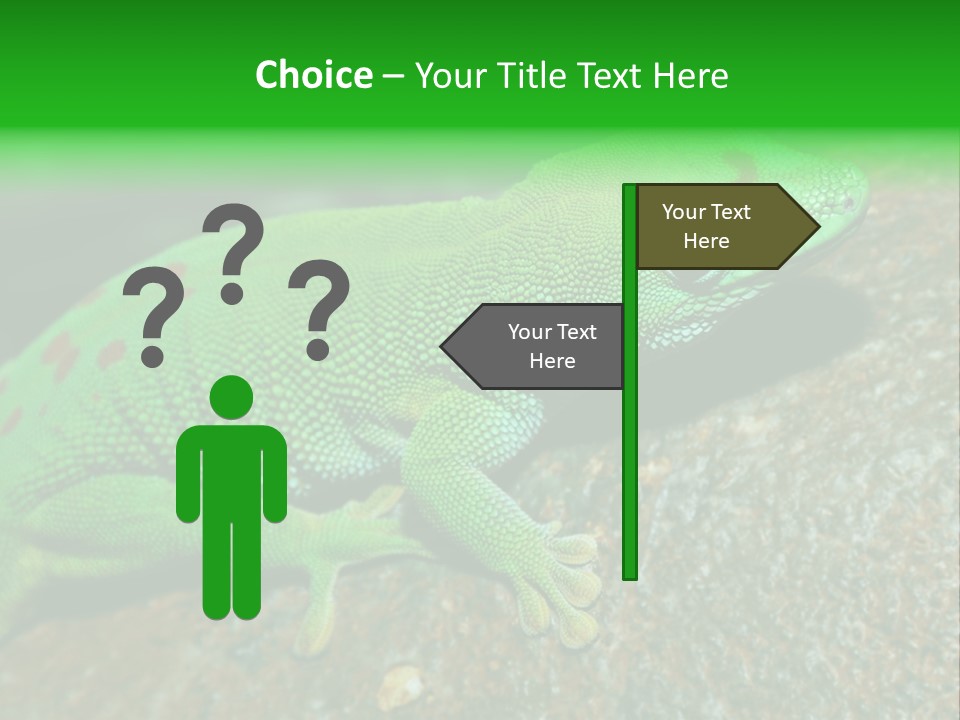 Gecko Chameleon Leaf PowerPoint Template