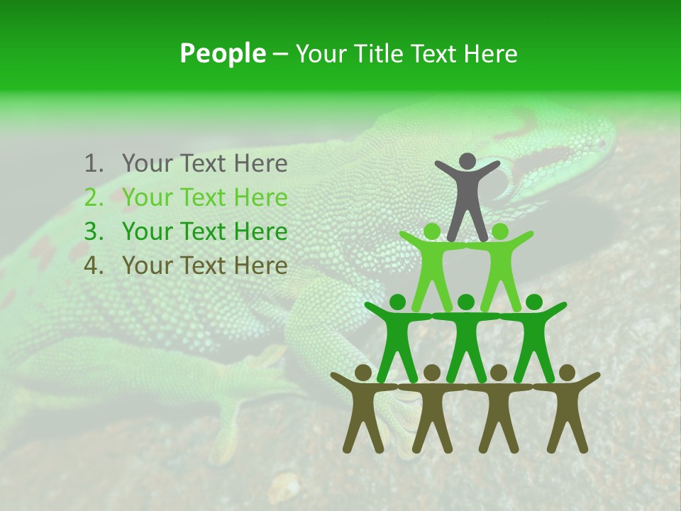 Gecko Chameleon Leaf PowerPoint Template