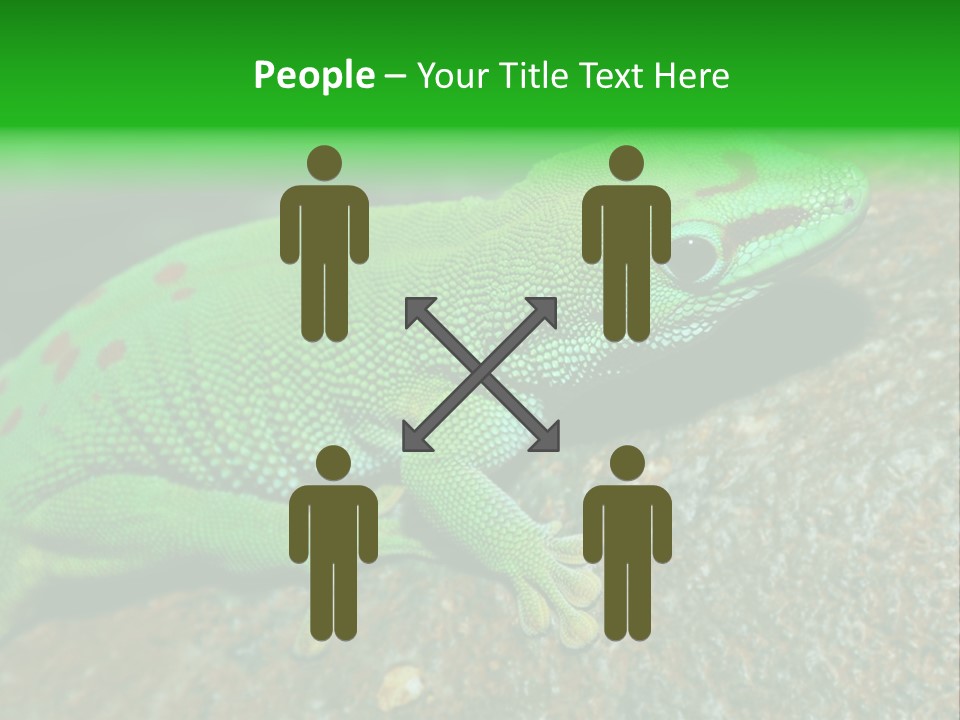 Gecko Chameleon Leaf PowerPoint Template