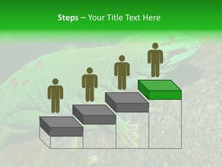 Gecko Chameleon Leaf PowerPoint Template