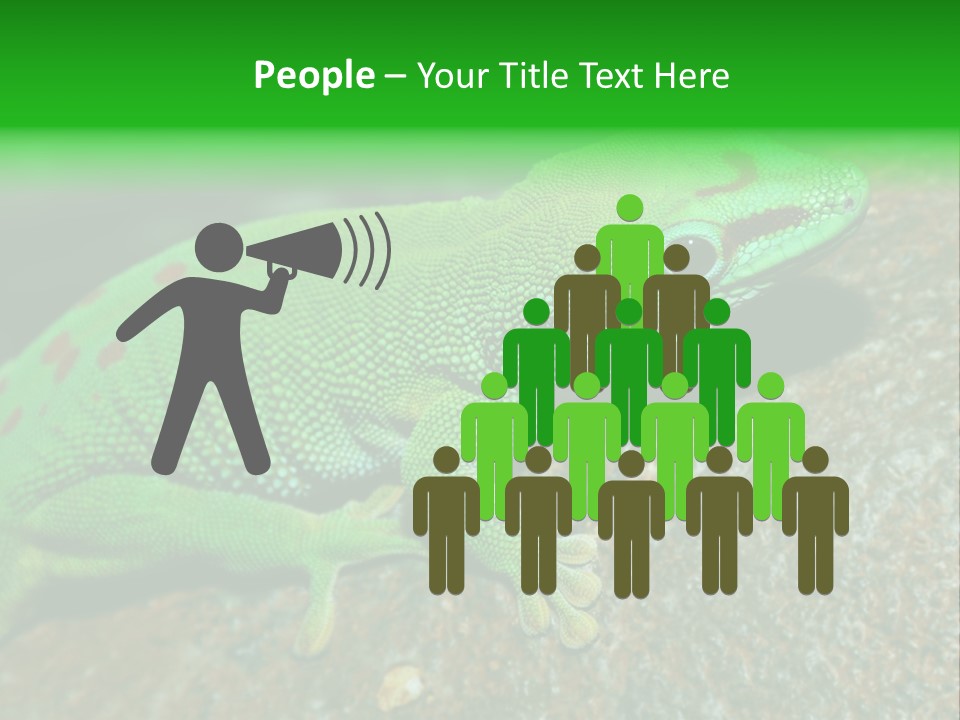 Gecko Chameleon Leaf PowerPoint Template