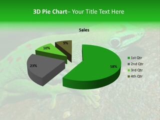 Gecko Chameleon Leaf PowerPoint Template