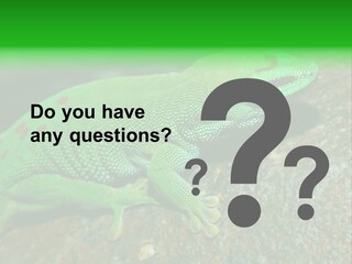 Gecko Chameleon Leaf PowerPoint Template
