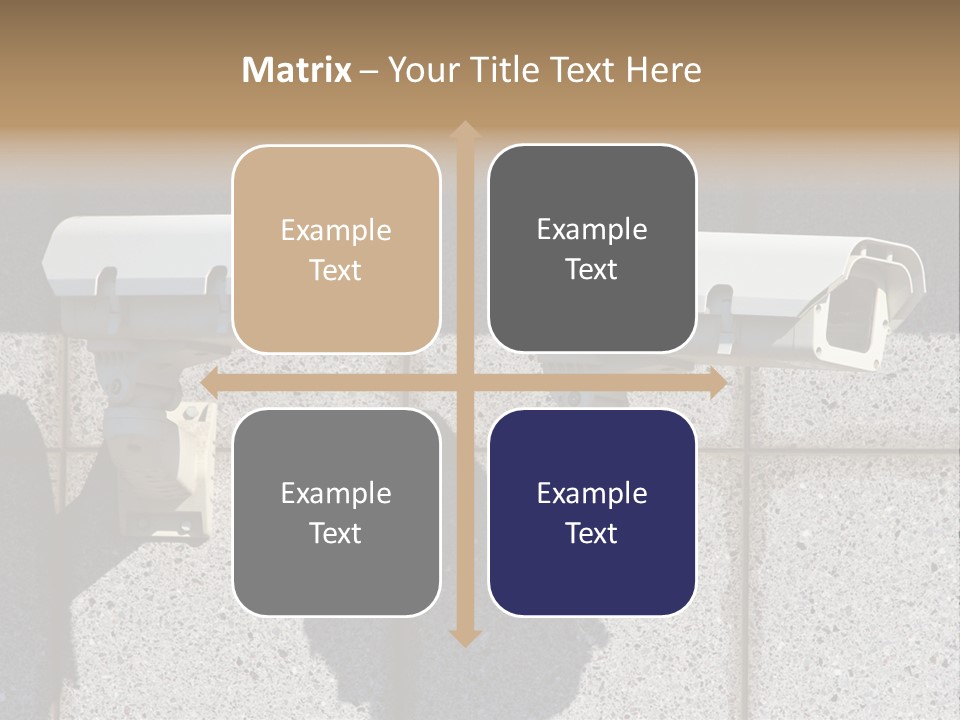 Private Watching Industry PowerPoint Template