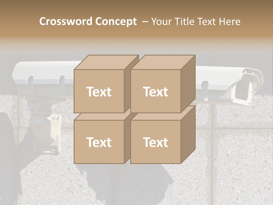 Private Watching Industry PowerPoint Template