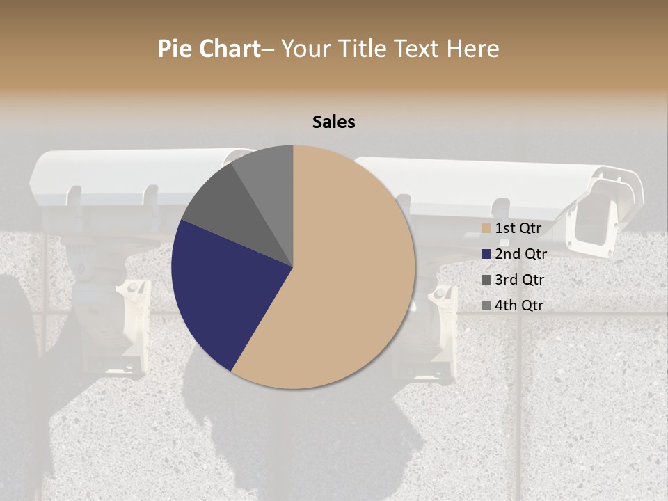 Private Watching Industry PowerPoint Template