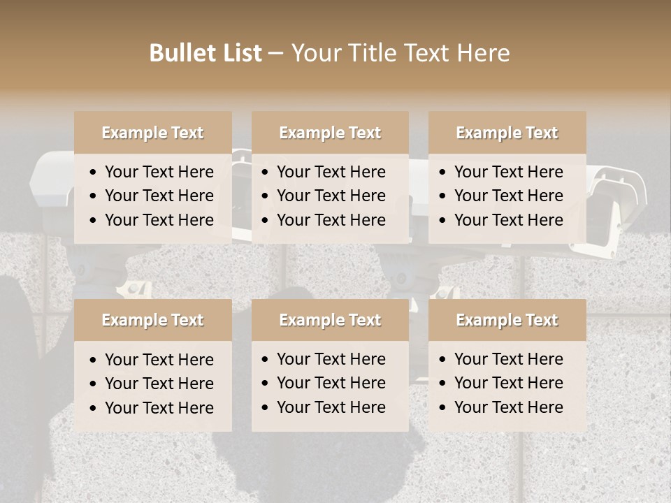 Private Watching Industry PowerPoint Template