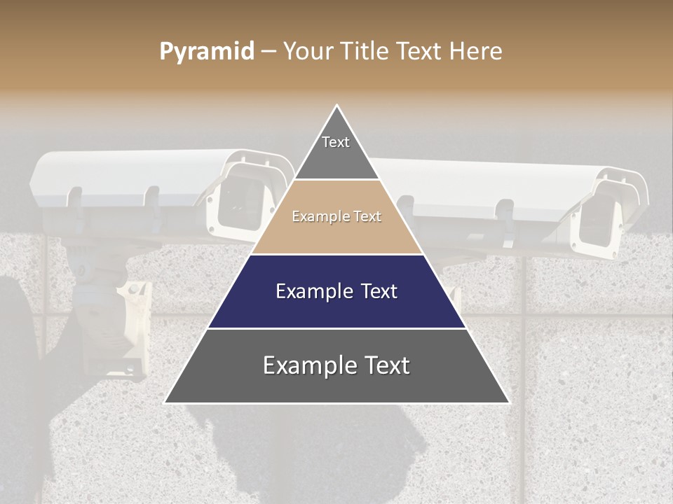Private Watching Industry PowerPoint Template