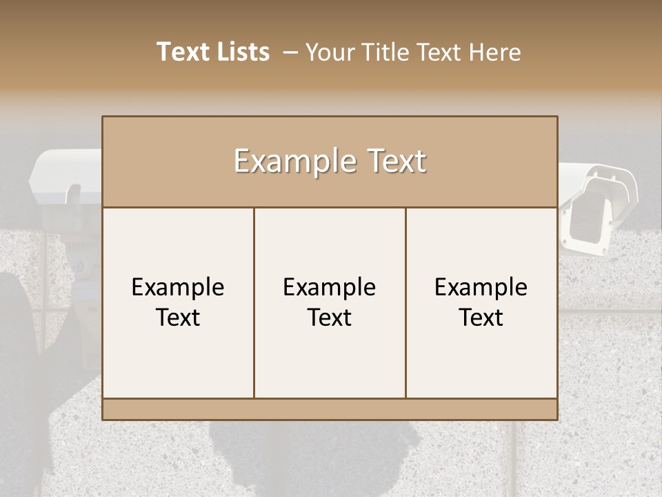 Private Watching Industry PowerPoint Template