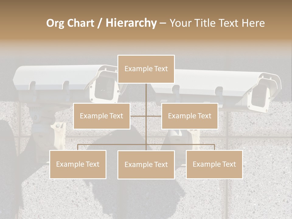Private Watching Industry PowerPoint Template