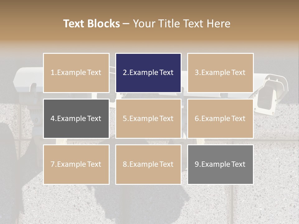 Private Watching Industry PowerPoint Template