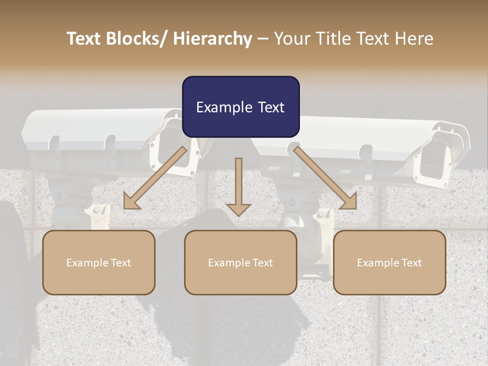 Private Watching Industry PowerPoint Template