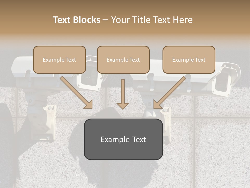 Private Watching Industry PowerPoint Template