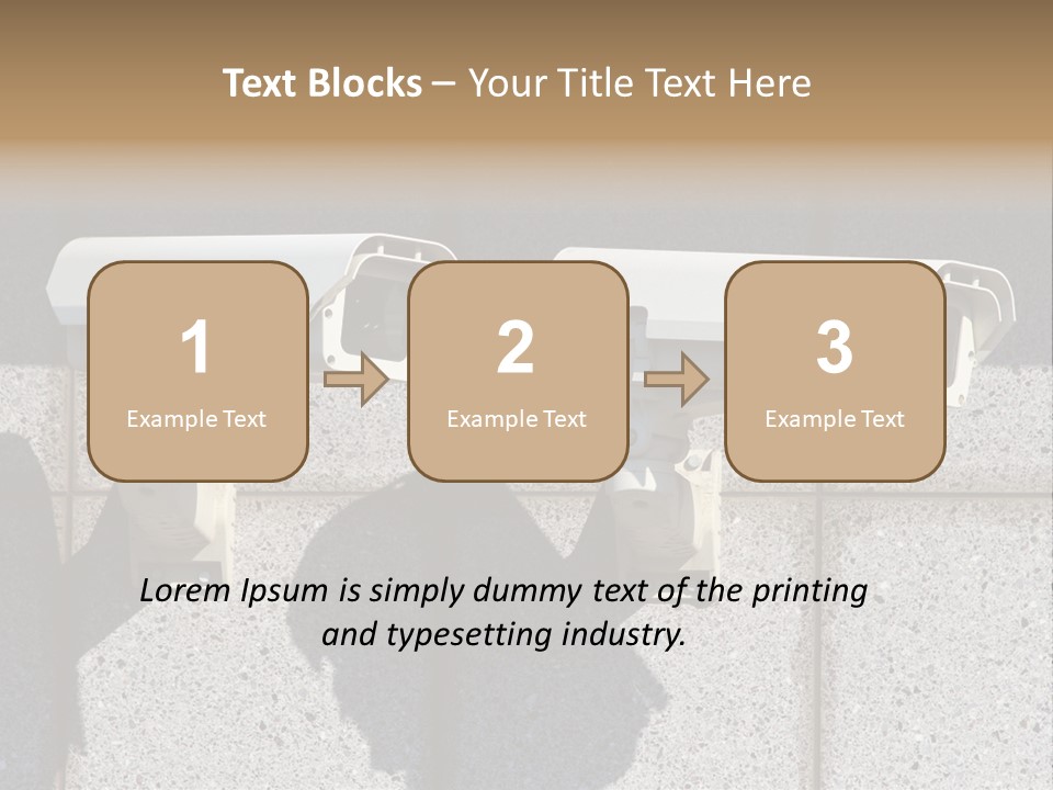 Private Watching Industry PowerPoint Template