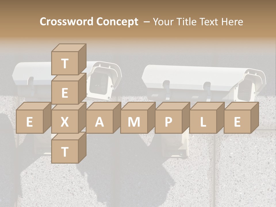 Private Watching Industry PowerPoint Template