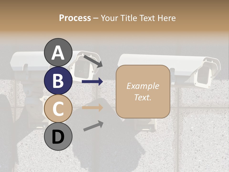 Private Watching Industry PowerPoint Template