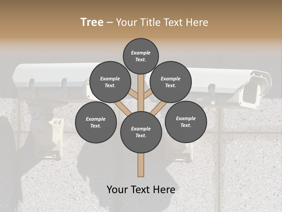 Private Watching Industry PowerPoint Template