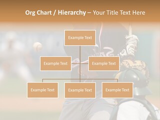 Hitter Summer University PowerPoint Template