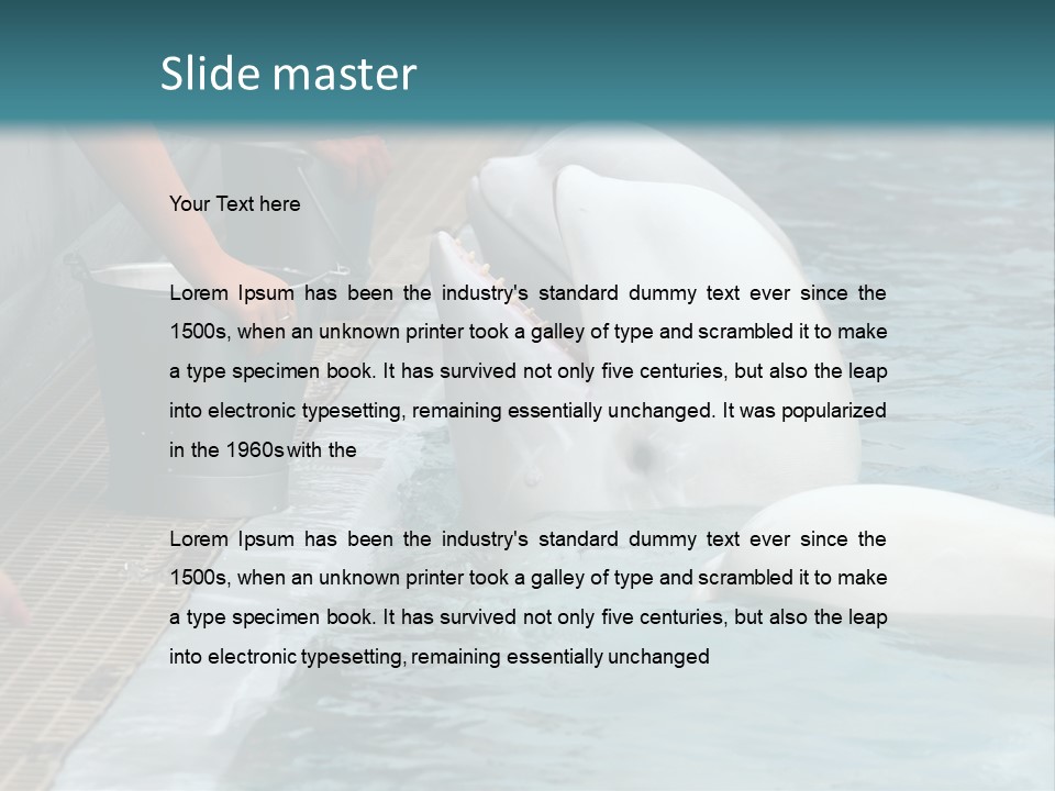 Fish Park Animals PowerPoint Template