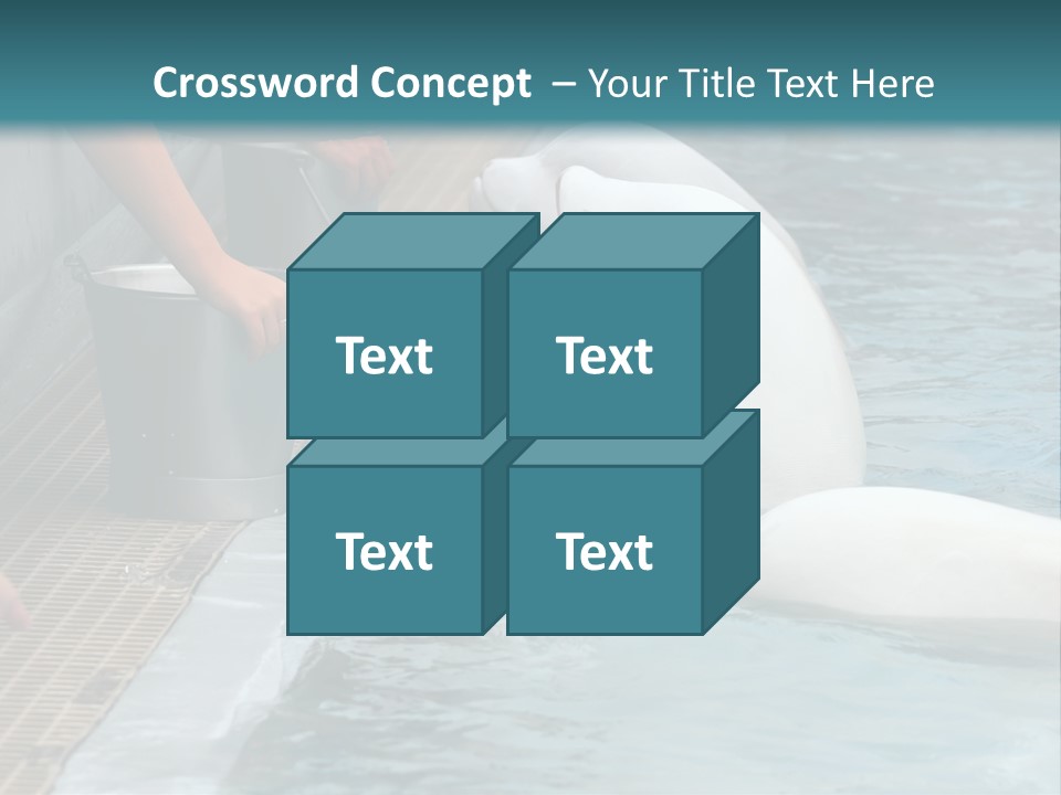 Fish Park Animals PowerPoint Template