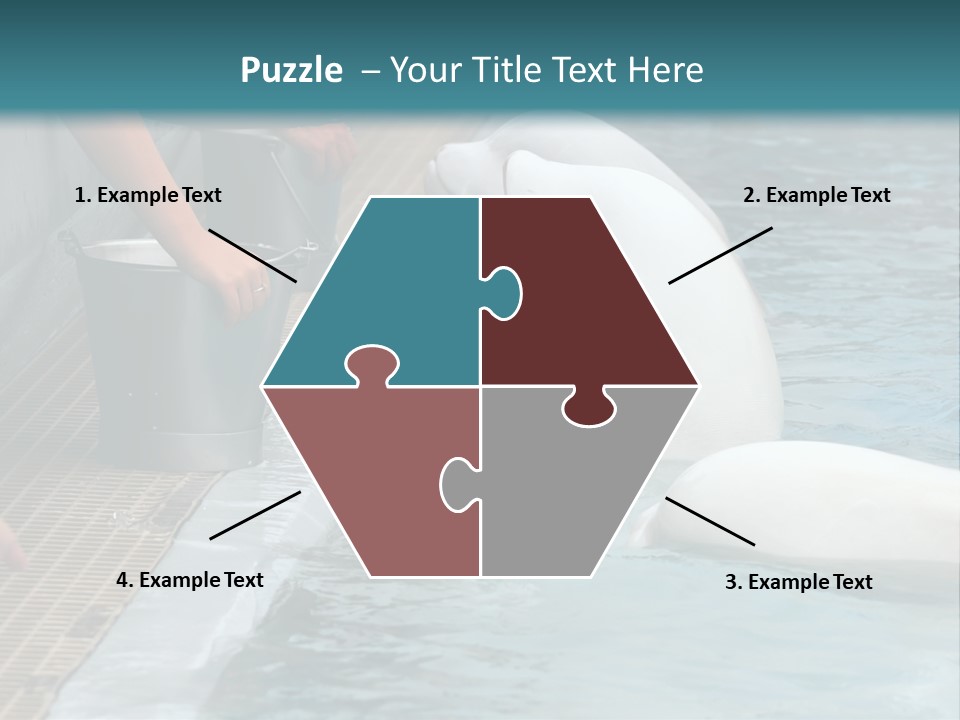 Fish Park Animals PowerPoint Template