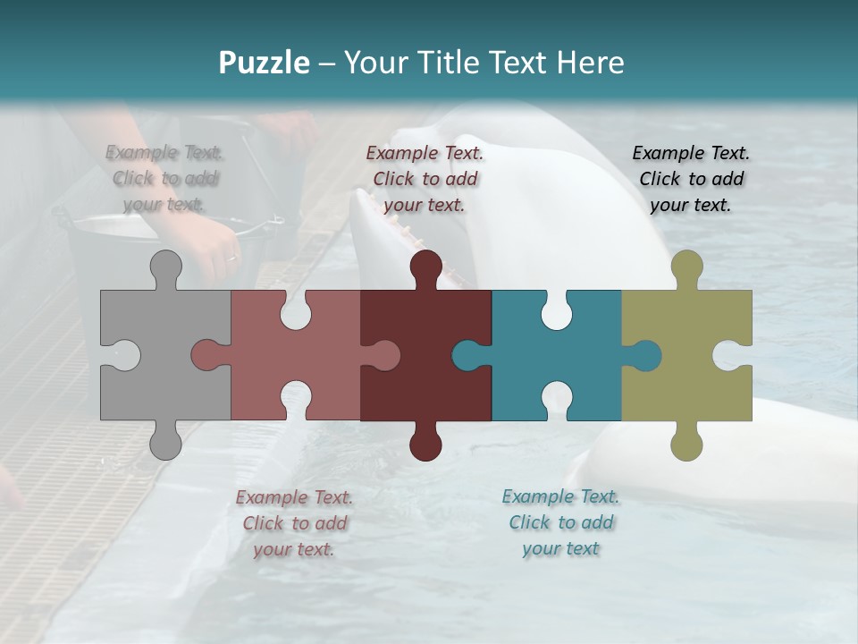 Fish Park Animals PowerPoint Template