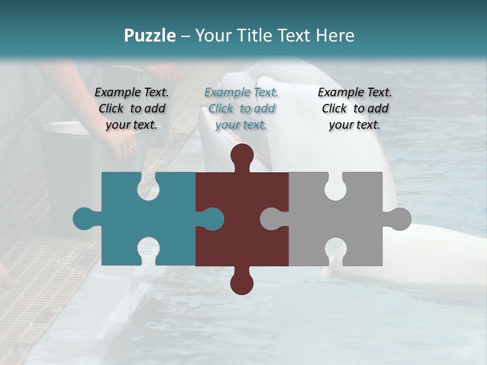 Fish Park Animals PowerPoint Template