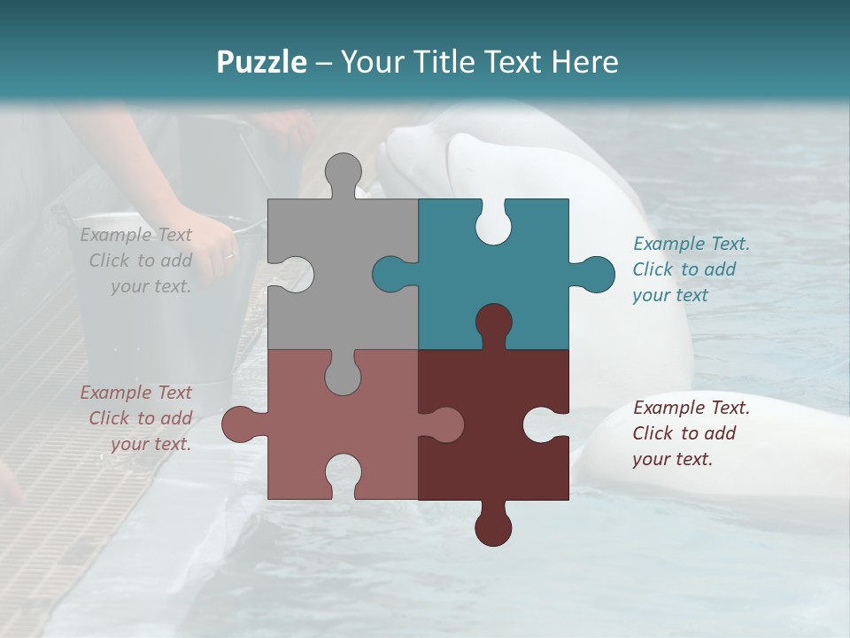 Fish Park Animals PowerPoint Template