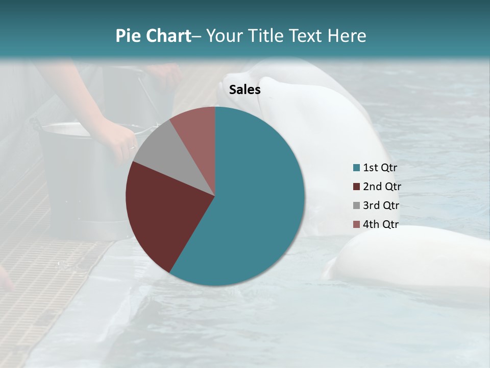 Fish Park Animals PowerPoint Template