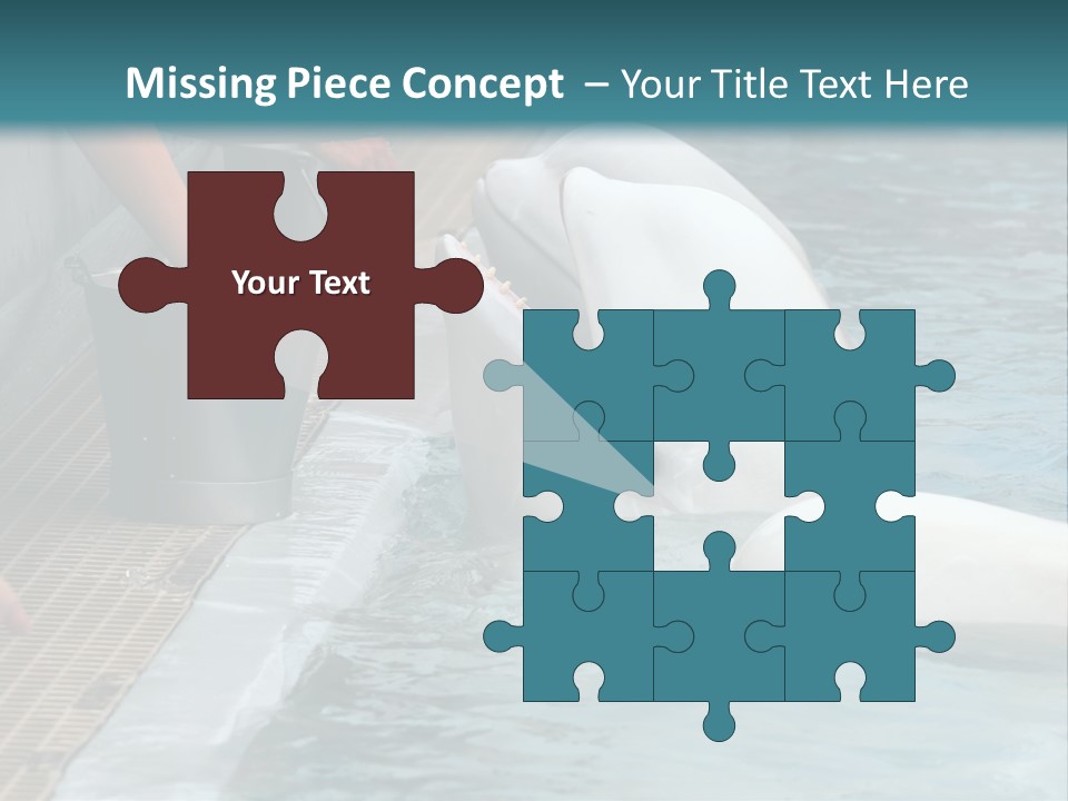 Fish Park Animals PowerPoint Template