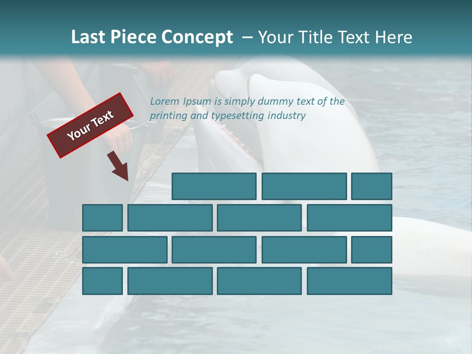 Fish Park Animals PowerPoint Template