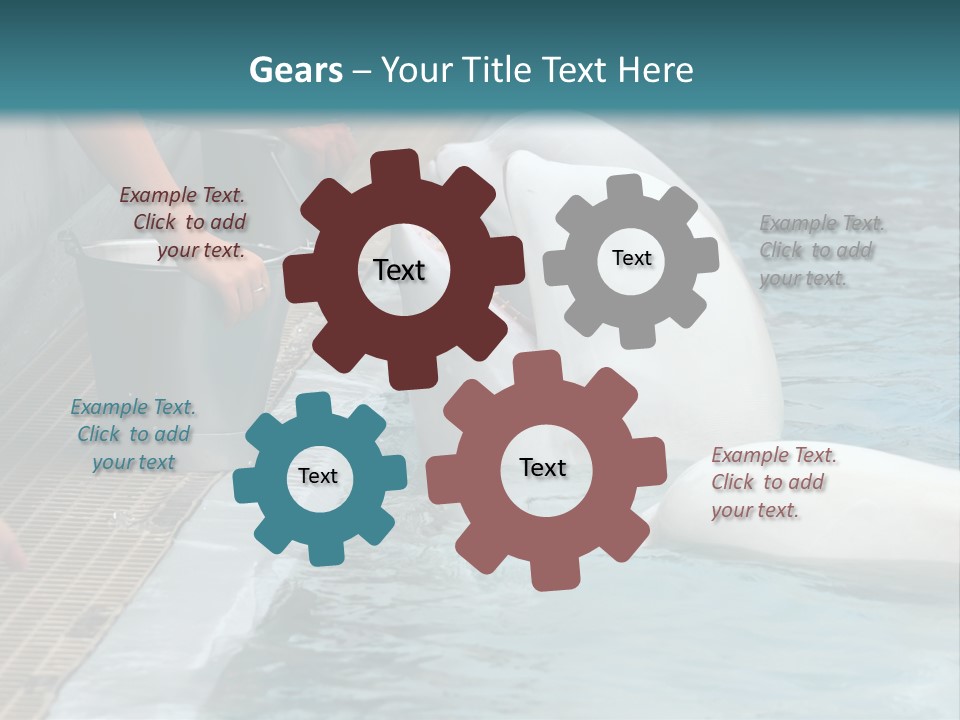 Fish Park Animals PowerPoint Template