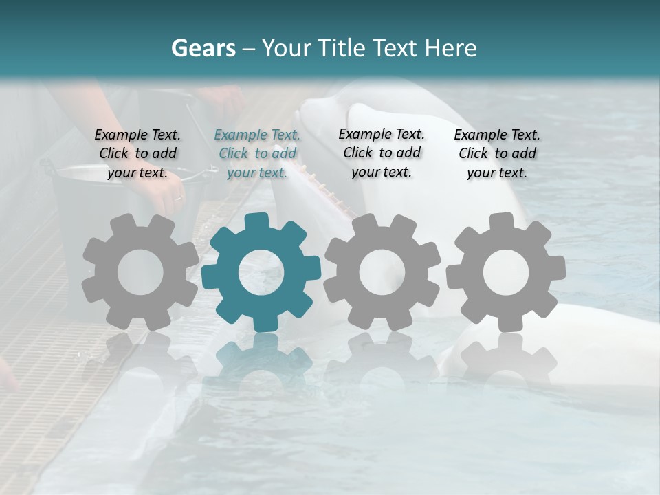 Fish Park Animals PowerPoint Template