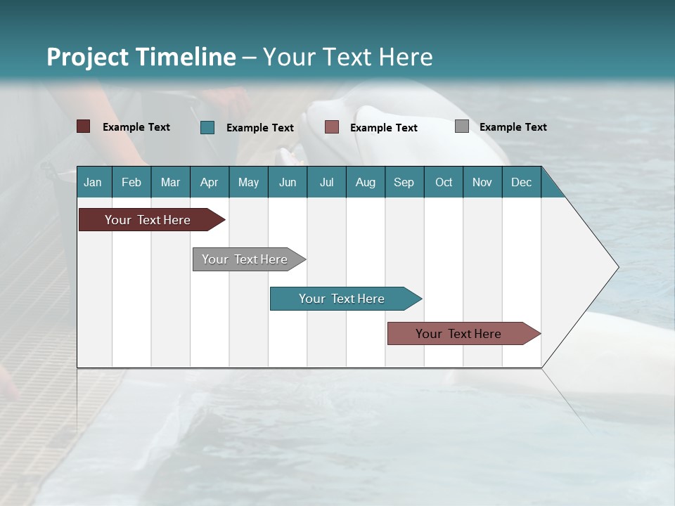 Fish Park Animals PowerPoint Template